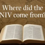 where did the niv come from